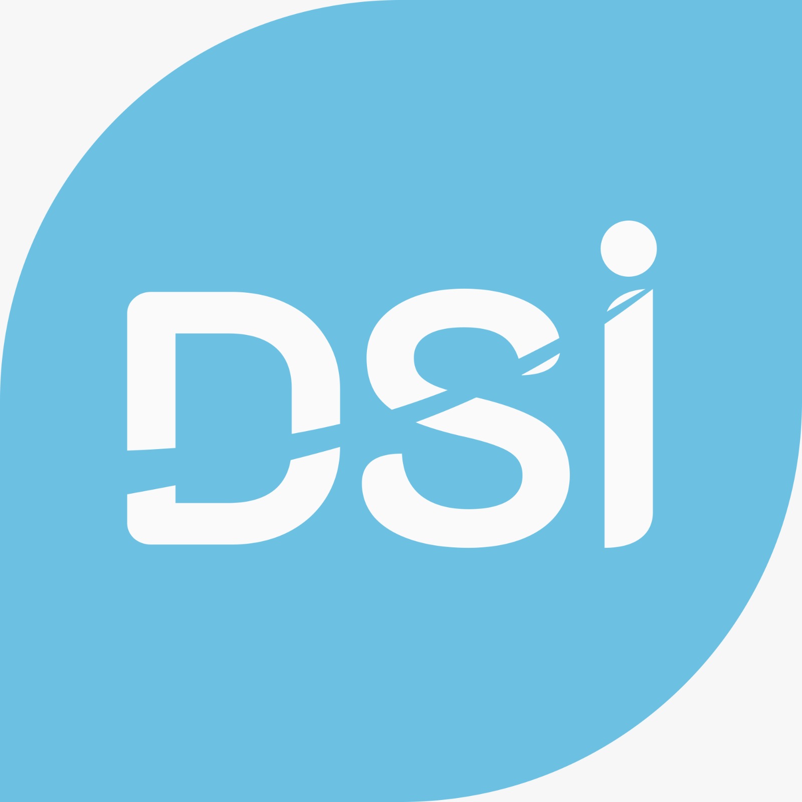 DSI Logo